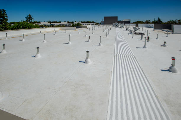 Best Roof Maintenance and Cleaning  in Burns Harbor, IN